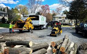 Cottleville, MO  Tree Services Company